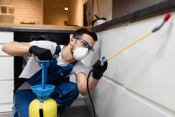 Best Ant Control Services  in Providence Village, TX