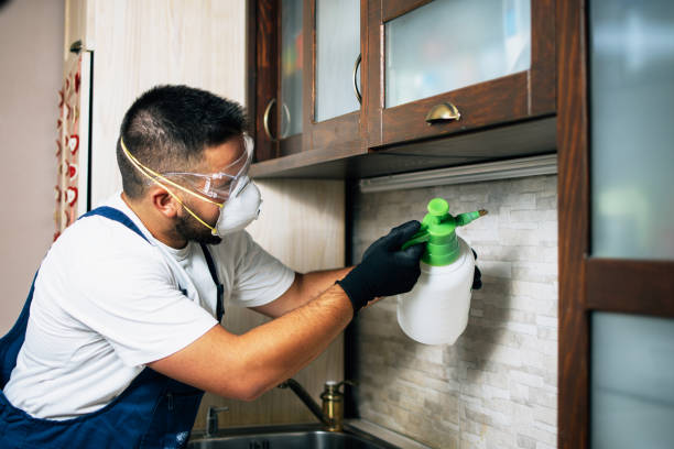 Best Pest Removal Services  in Providence Village, TX