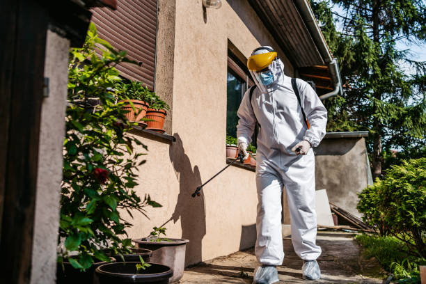 Best Emergency Pest Control  in Providence Village, TX