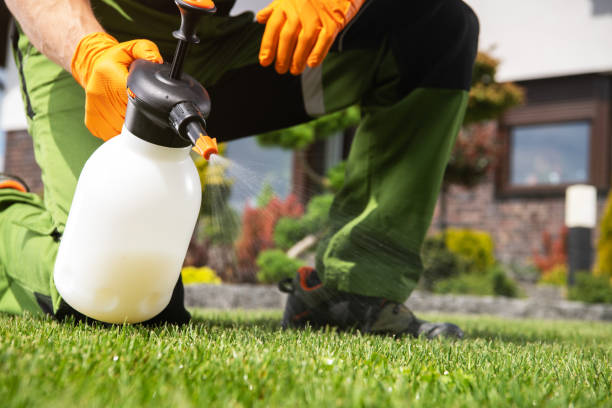 Best Emergency Pest Control  in Providence Village, TX