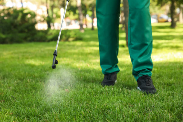 Best Ant Control Services  in Providence Village, TX
