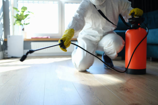 Best Best Pest Control Companies  in Providence Village, TX