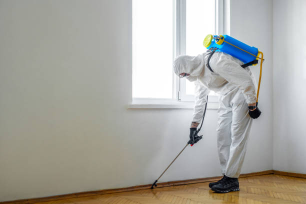 Best Best Pest Control Companies  in Providence Village, TX