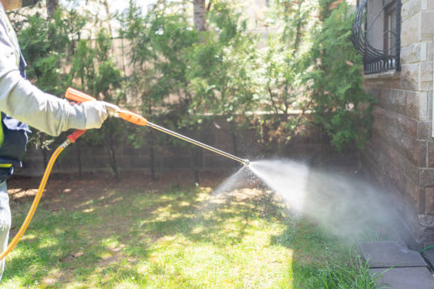 Best Termite Control Services  in Providence Village, TX