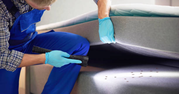 Best Commercial Pest Control Services  in Providence Village, TX