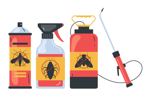 Best Affordable Pest Control Services  in Providence Village, TX