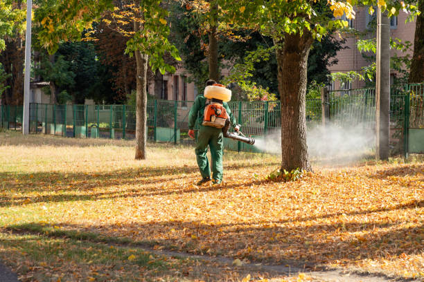 Best Flea Control Services  in Providence Village, TX
