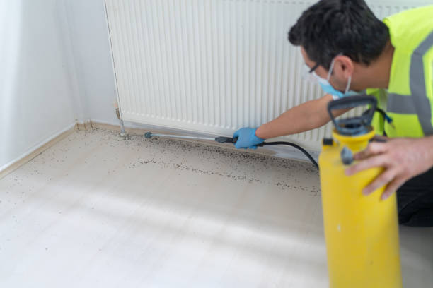 Best Local Pest Control Services  in Providence Village, TX