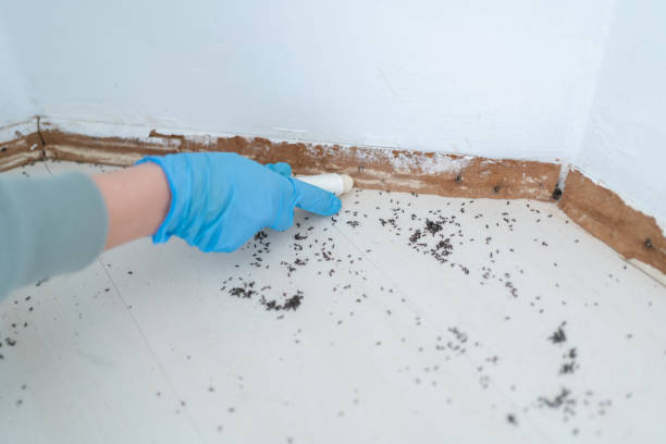 Best Exterminator Services  in Providence Village, TX